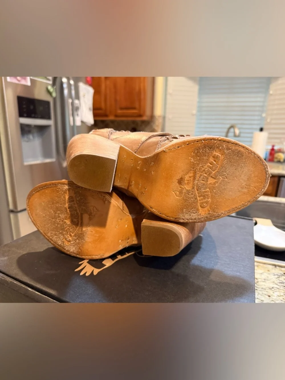 Freebird Rapture - Picture 5 of 7